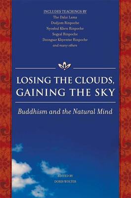 Book cover for Losing the Clouds, Gaining the Sky