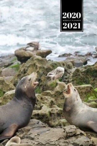 Cover of Seal Manatee Sea Lion Cow Walrus Dugong Week Planner Weekly Organizer Calendar 2020 / 2021 - Talk among Friends