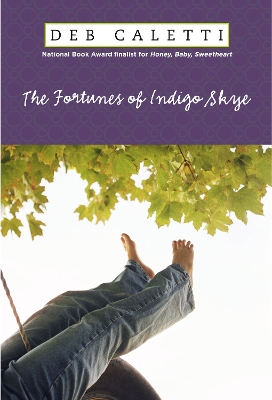 Book cover for The Fortunes of Indigo Skye