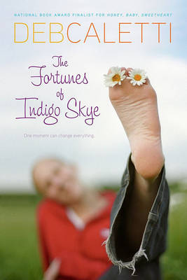 Book cover for The Fortunes of Indigo Skye