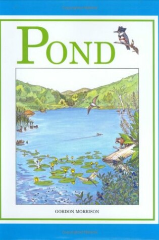 Cover of Pond