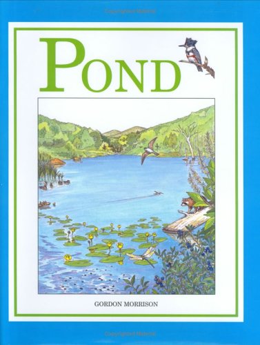 Book cover for Pond