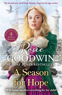 Book cover for A Season for Hope