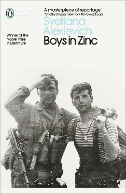 Book cover for Boys in Zinc