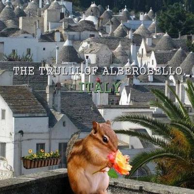 Book cover for The Trulli of Alberobello, Italy