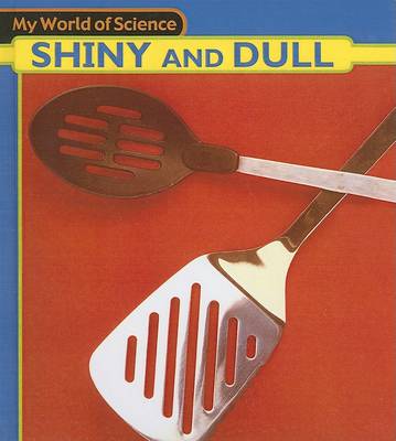 Book cover for Shiny and Dull