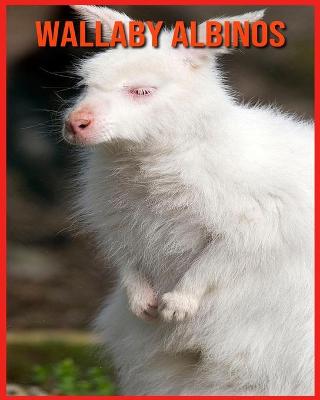 Book cover for Wallaby Albinos