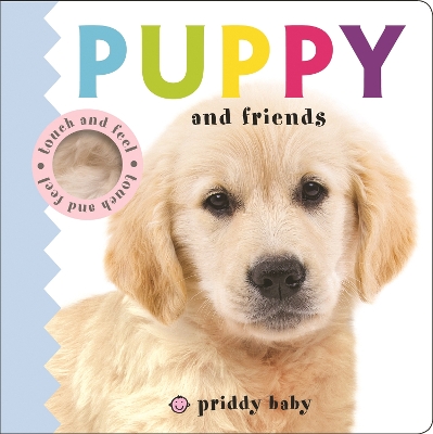 Book cover for Touch & Feel: Puppy and Friends