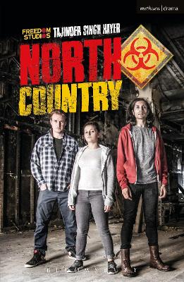 Book cover for North Country