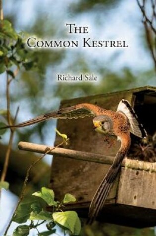 Cover of The Common Kestrel