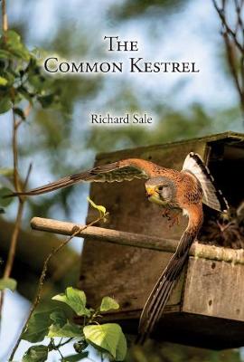 Book cover for The Common Kestrel
