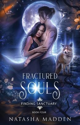 Cover of Fractured Souls