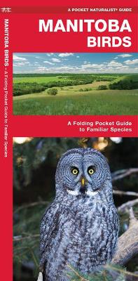 Book cover for Manitoba Birds