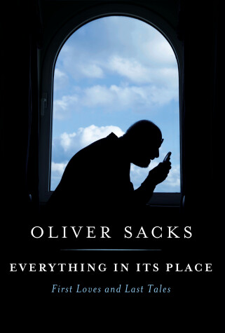 Book cover for Everything in Its Place