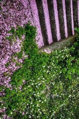 Cover of Cherry Blossoms Fallen on Stairs in Japan Journal