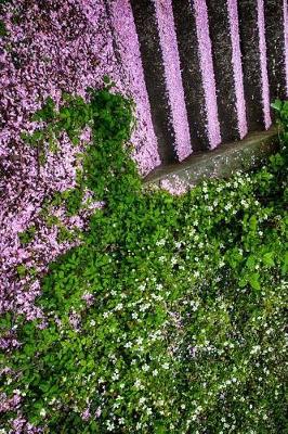 Book cover for Cherry Blossoms Fallen on Stairs in Japan Journal