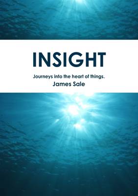 Book cover for Insight: Journeys Into the Heart of Things