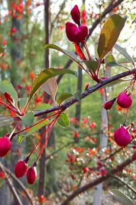 Cover of Springtime 2019 Daily Planner Flowering Tree Buds Ready To Open 384 Pages