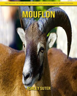 Book cover for Mouflon