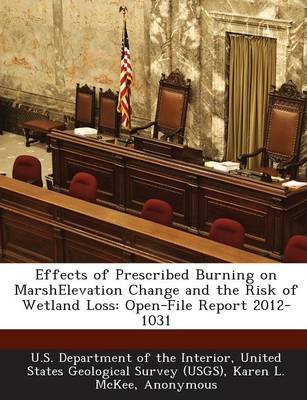 Book cover for Effects of Prescribed Burning on Marshelevation Change and the Risk of Wetland Loss