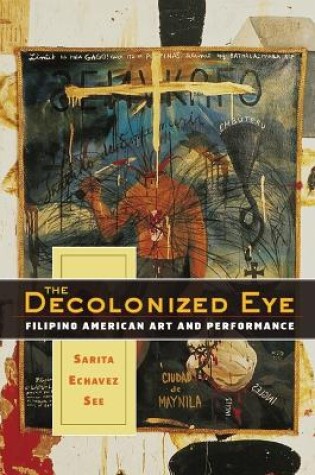 Cover of The Decolonized Eye