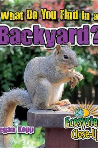 Cover of What Do You Find in a Backyard?