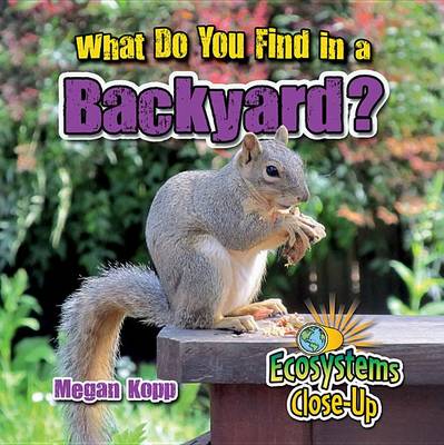 Cover of What Do You Find in a Backyard?