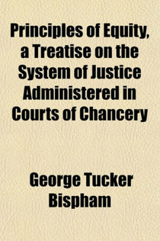 Cover of Principles of Equity, a Treatise on the System of Justice Administered in Courts of Chancery