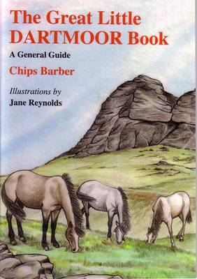 Book cover for The Great Little Dartmoor Book