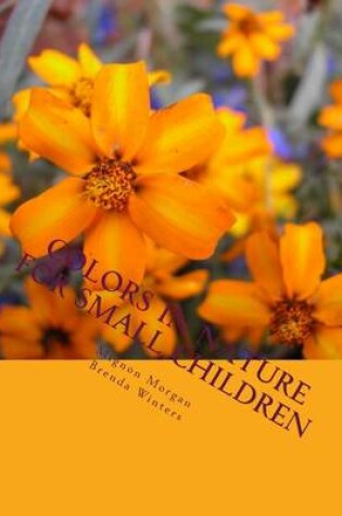 Cover of Colors In Nature For Small Children