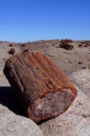 Cover of Petrified Wood Notebook