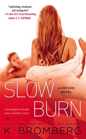Book cover for Slow Burn