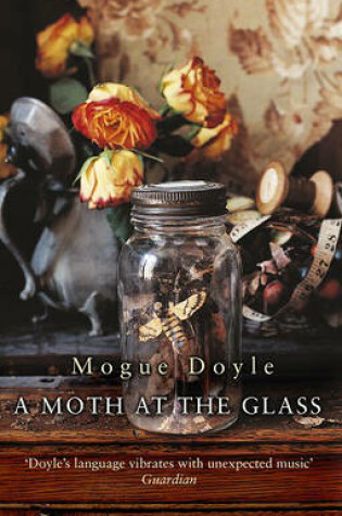 Cover of A Moth At The Glass, A