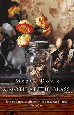 Book cover for A Moth At The Glass, A