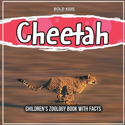 Book cover for Cheetah