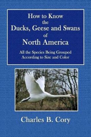 Cover of How to Know Ducks, Geese and Swans of North America