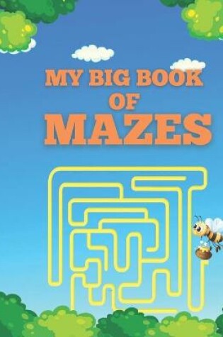 Cover of My Big Book Of Mazes