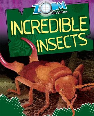 Book cover for Zoom in On: Incredible Insects