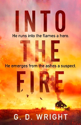 Book cover for Into the Fire