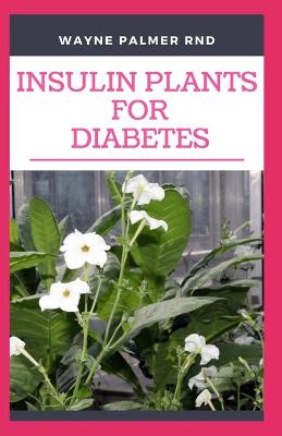 Book cover for Insulin Plants for Diabetes