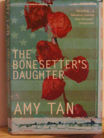 Book cover for Bonesetter's Daughter