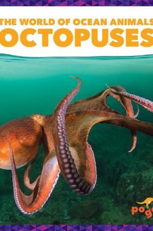 Cover of Octopuses