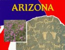 Book cover for Arizona