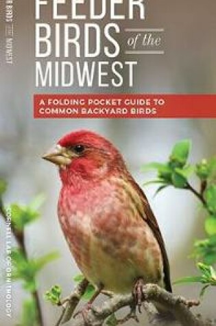 Cover of Feeder Birds of the Midwest