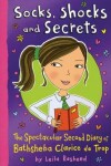 Book cover for Socks, Shocks and Secrets