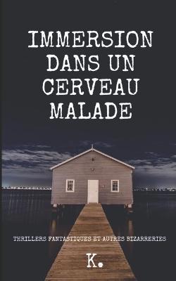 Book cover for Immersion dans un cerveau malade