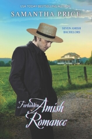 Cover of Forbidden Amish Romance