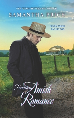 Book cover for Forbidden Amish Romance