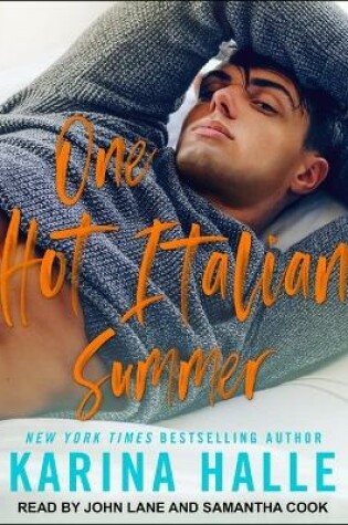 Cover of One Hot Italian Summer