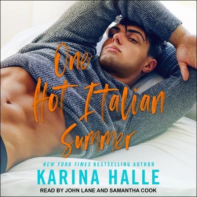 Book cover for One Hot Italian Summer